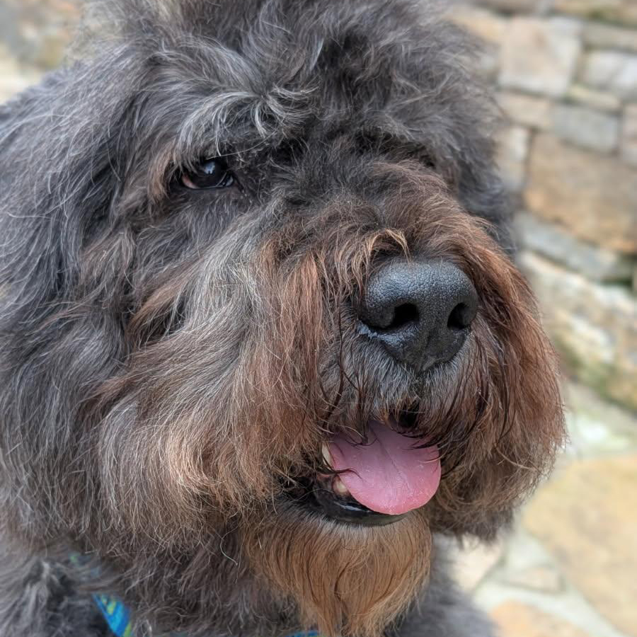 Otto