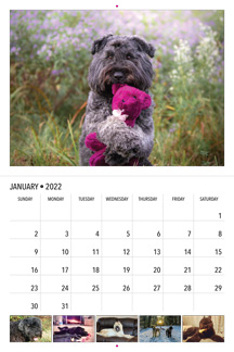 2021 Bouvier Calendar